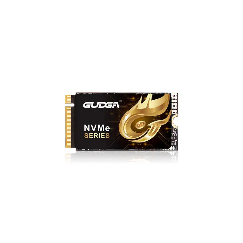 2242 పొడవు PCIE 4.0 NVMe SSD 7000MB/s